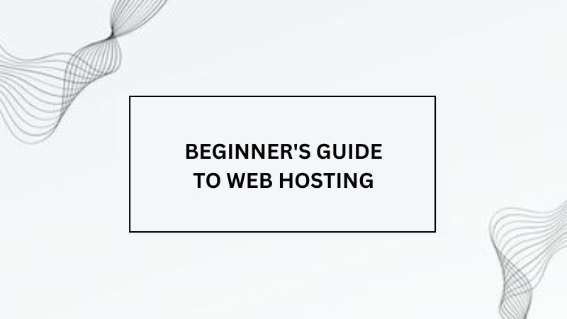 Beginner’s Guide to Web Hosting